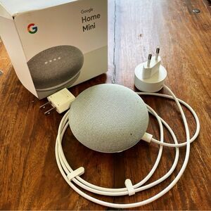 Google Nest Mini in Light Gray with Box